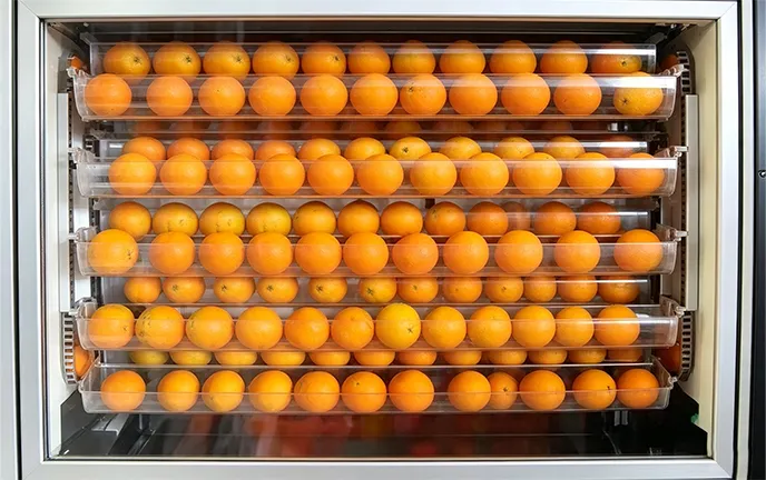Orange juice vending machine with storage for more than 350 oranges
